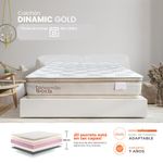 COL-DINAMIC-GOLD-copia-03
