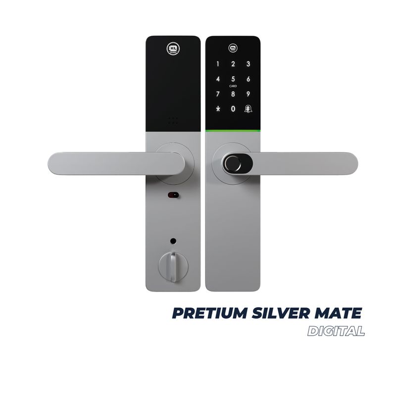PRETIUM-SILVER-MATE